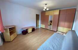 Apartament 2 camere, 54 mp, parcare, recent renovat, zona Big