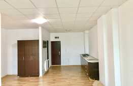Apartament cu 2 camere, pet-friendly, parcare, 55 mp, zona P-ta 1 Mai