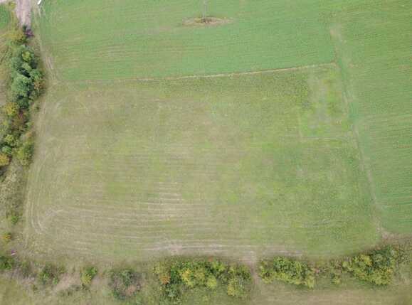 Teren de vânzare Baciu - 56248TV | BLITZ Cluj-Napoca | Poza3