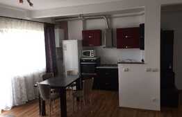 Apartament 2 camere, mobilat modern, centrala termica proprie, zona Spitalul de Recuperare