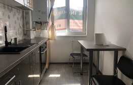 Apartament cu 2 camere, decomandat, 50 mp, pet friendly, Piata 1 Mai