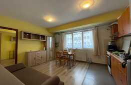 Apartament 2 camere, 45 mp, zona strazii Oasului 