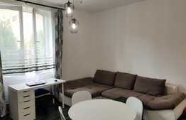 Apartament cu 2 camere, 40 mp, zona strazii Motilor