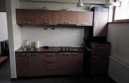 Apartament  1 camera, 60 mp, parcare, bloc nou, zona Hasdeu