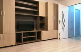 Garsoniera 28 mp, logie, zona Bulevardul Muncii! Posibilitate preluare chiriasi