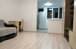Garsoniera 28 mp, logie, zona Bulevardul Muncii! Posibilitate preluare chiriasi