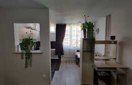 Garsoniera cocheta, mobilata utiliata modern, 32 mp, etaj intermediar, zona strazii Detunata