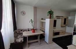 Garsoniera cocheta, mobilata utiliata modern, 32 mp, etaj intermediar, zona strazii Detunata