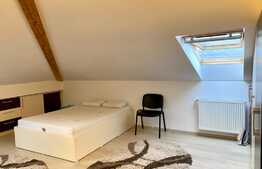 Apartament 1 camera, 46 mp, zona strazii Viorelelor, Marasti