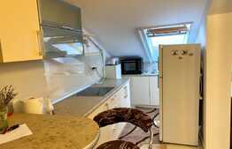 Apartament 1 camera, 46 mp, zona strazii Viorelelor, Marasti