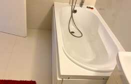 Apartament 1 camera, 46 mp, zona strazii Viorelelor, Marasti