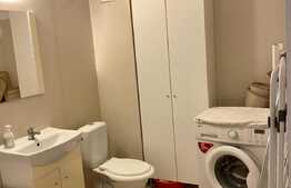 Apartament 1 camera, 46 mp, zona strazii Viorelelor, Marasti