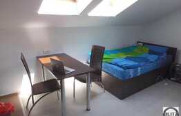 1 camera, 35 mp, imobil nou, mobilat modern, zona Hasdeu