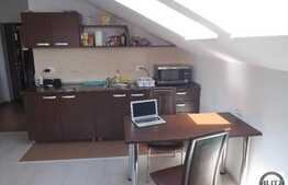 1 camera, 35 mp, imobil nou, mobilat modern, zona Hasdeu