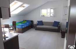 1 camera, 35 mp, imobil nou, mobilat modern, zona Hasdeu