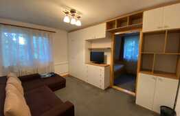 2 camere, 40 mp, recent renovat, zona strazii Albac