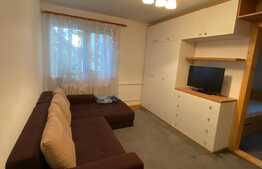 2 camere, 40 mp, recent renovat, zona strazii Albac