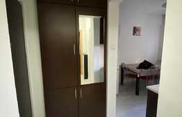 2 camere, 40 mp, recent renovat, zona strazii Albac