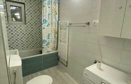 2 camere, 40 mp, recent renovat, zona strazii Albac