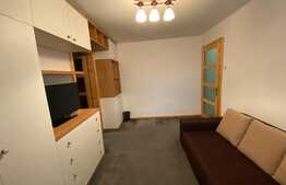 2 camere, 40 mp, recent renovat, zona strazii Albac