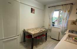 2 camere, 40 mp, recent renovat, zona strazii Albac