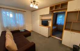 2 camere, 40 mp, recent renovat, zona strazii Albac