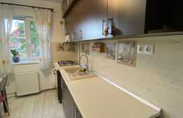 2 camere, 40 mp, recent renovat, zona strazii Albac