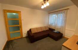 2 camere, 40 mp, recent renovat, zona strazii Albac