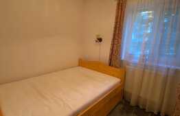 2 camere, 40 mp, recent renovat, zona strazii Albac