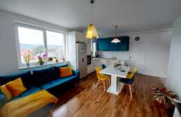 Apartament lux, 2 camere, 55 mp utili, zona linistita!