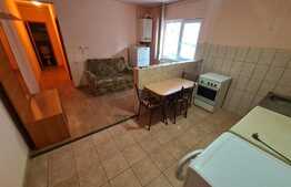 Apartament o camera, 35 mp, zona Vivo!