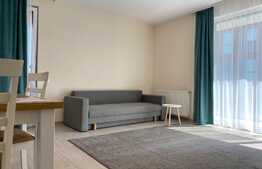 Apartament  2 camere, decomandat, prima inchiriere, parcare subterana,46 mp, zona strazii cometei,Zorilor