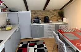 Apartament 2 camere, decomandat, 55 mp, terasa 32 mp, zona Lidl