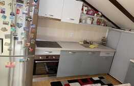 Apartament 2 camere, decomandat, 55 mp, terasa 32 mp, zona Lidl