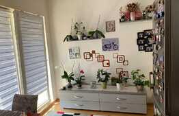 Apartament 2 camere, decomandat, 55 mp, terasa 32 mp, zona Lidl