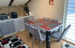 Apartament 2 camere, decomandat, 55 mp, terasa 32 mp, zona Lidl