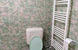 Oportunitate! Casa in centrul orasului, 44 mp utili, teren 575 mp in curte comuna