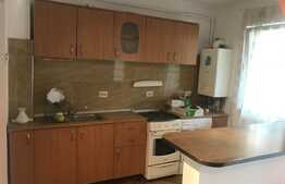 Apartament cu 3 camere, 56 mp, terasa 14 mp, parcare! Zona Porii!