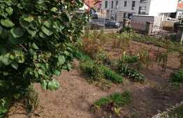 Casa individuala in zona strazii Maramuresului, 1930 mp teren!