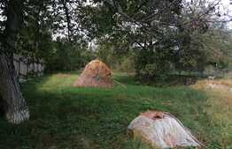 Casa individuala in zona strazii Maramuresului, 1930 mp teren!