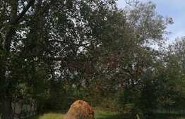 Casa individuala in zona strazii Maramuresului, 1930 mp teren!