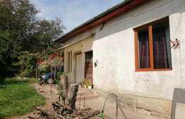 Casa individuala in zona strazii Maramuresului, 1930 mp teren!