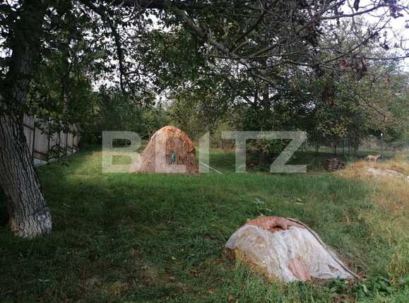 Casa de vânzare 2 camere Dambul Rotund - 56320CV | BLITZ Cluj-Napoca | Poza6