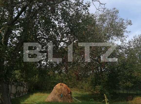 Casa de vânzare 2 camere Dambul Rotund - 56320CV | BLITZ Cluj-Napoca | Poza7