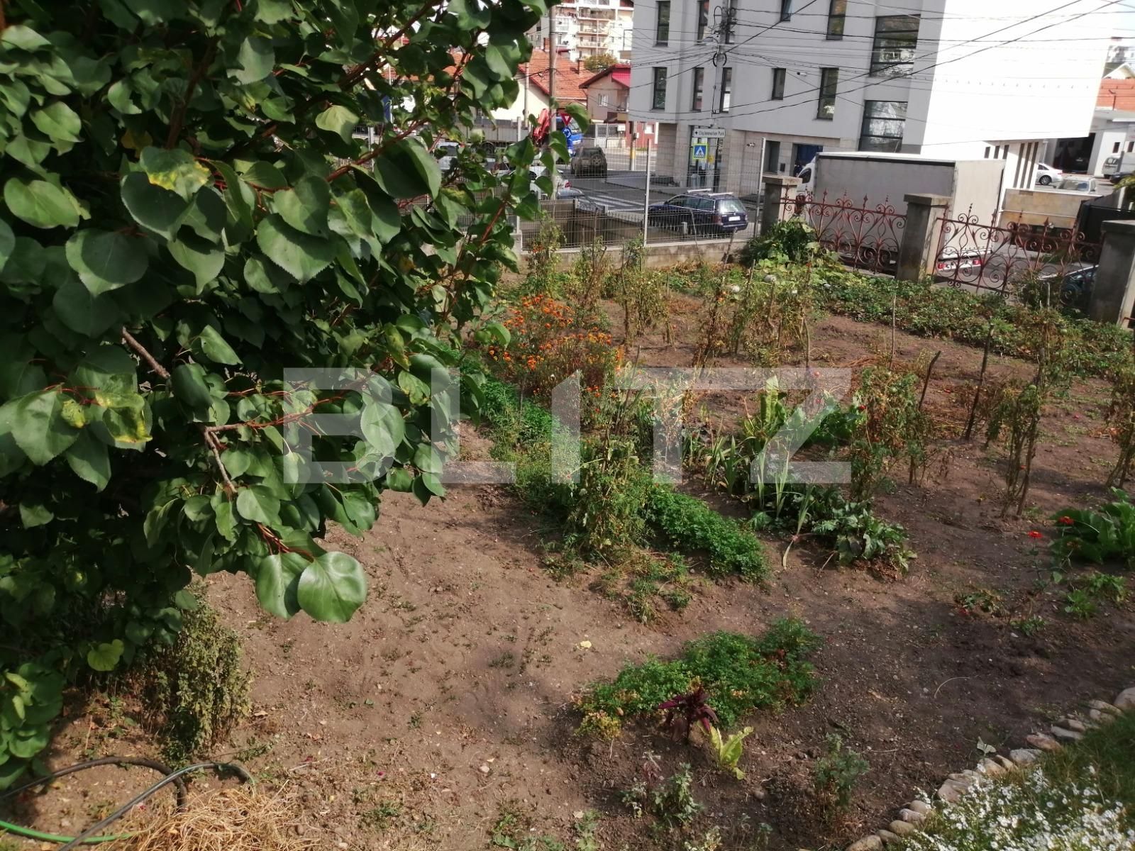 Casa de vânzare 2 camere Dambul Rotund - 56320CV | BLITZ Cluj-Napoca | Poza8