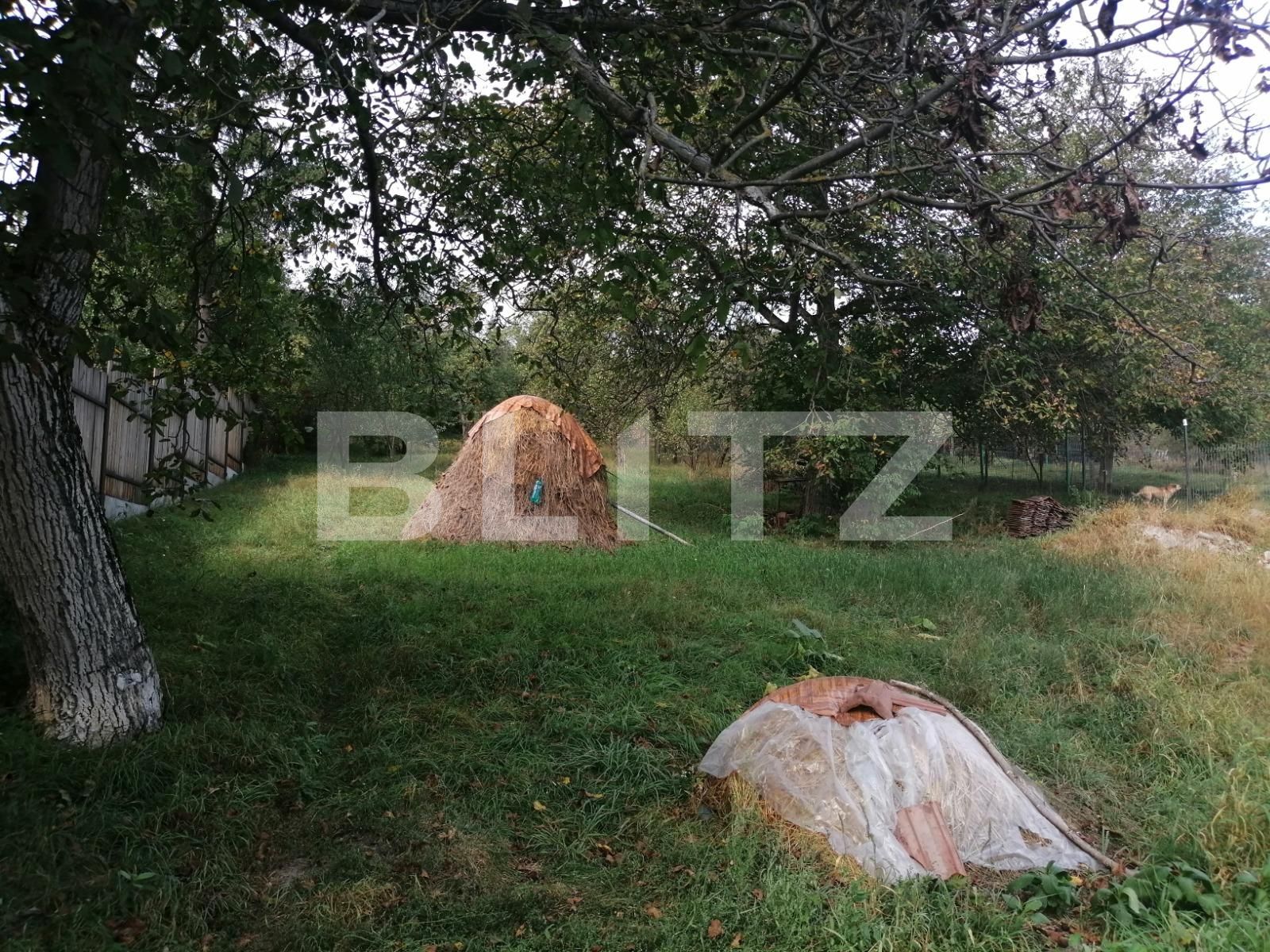 Casa de vânzare 2 camere Dambul Rotund - 56320CV | BLITZ Cluj-Napoca | Poza6