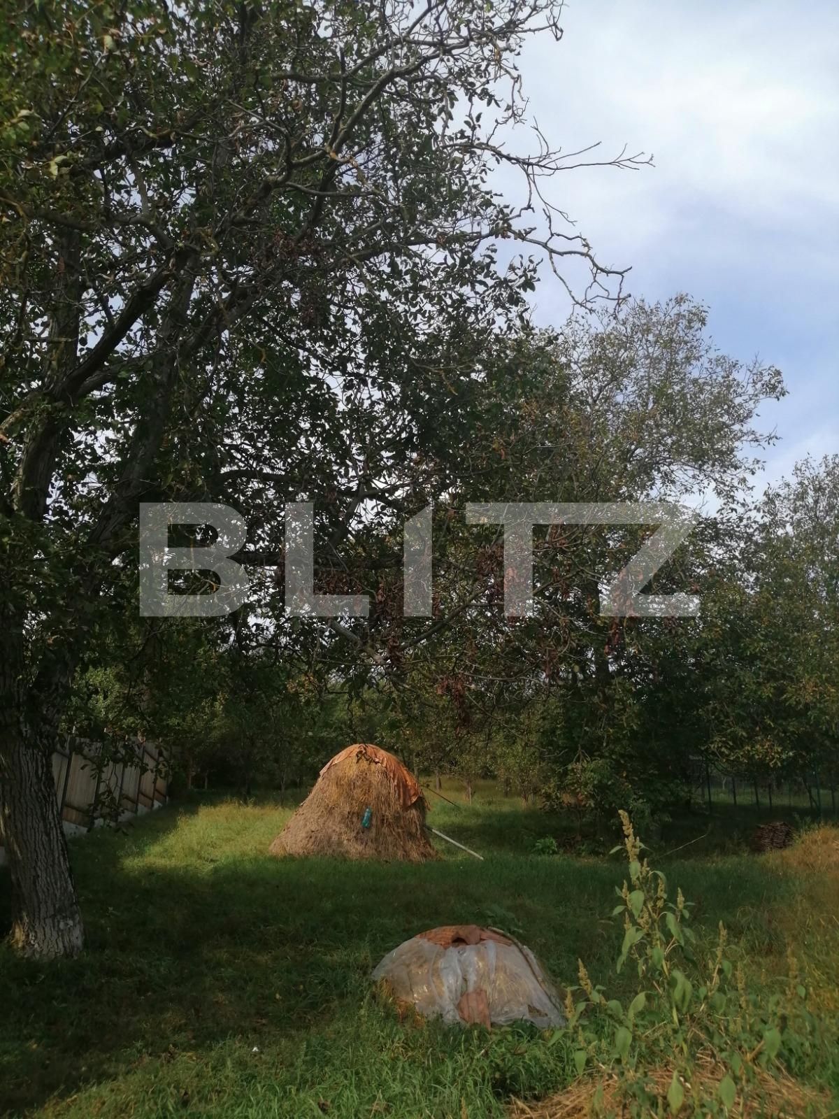 Casa de vânzare 2 camere Dambul Rotund - 56320CV | BLITZ Cluj-Napoca | Poza7