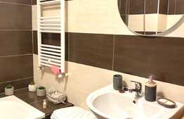 Apartament 2 camere, 45 mp, parcare, A.C., Complex Viva Cit, pet friendly 