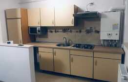 Apartament cu o camera, 40 mp, zona Porii, prima inchiriere