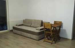 Apartament cu o camera, 40 mp, zona Porii, prima inchiriere